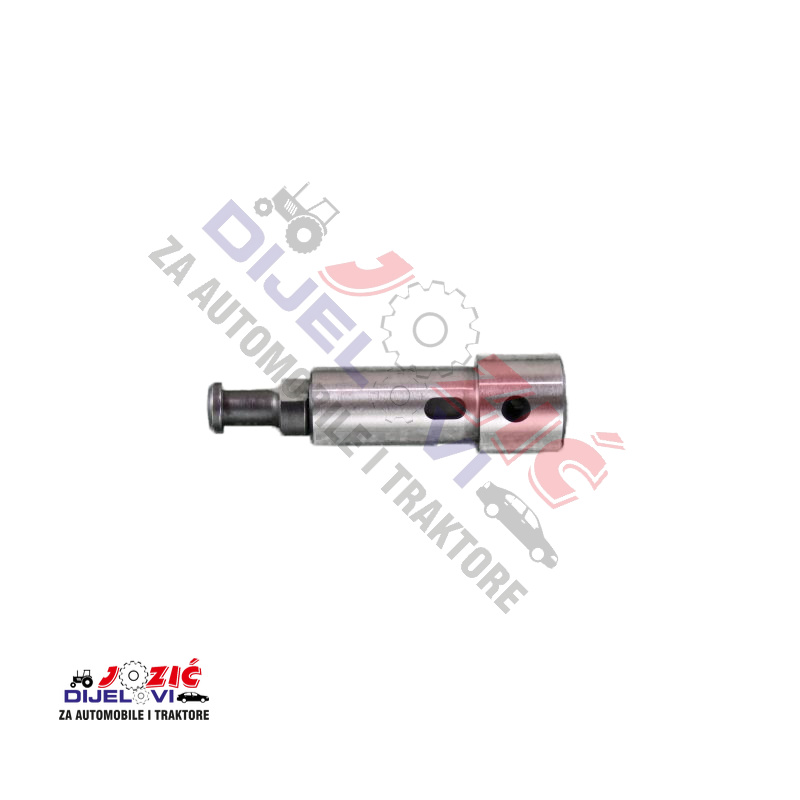 Daisy on the Ohoopee